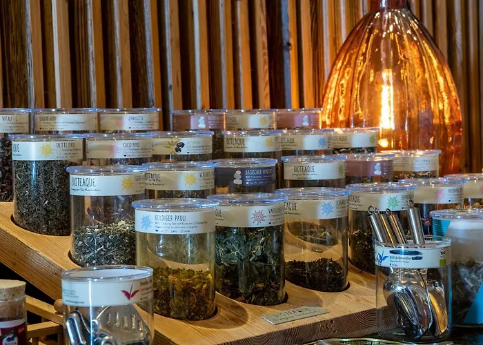 酒店 施翁鲁酒店