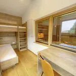 Schoenruh Hotel 4*